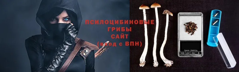 наркотики  ссылка на мегу вход  Псилоцибиновые грибы Psilocybe  Тара 